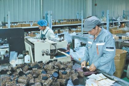 岷縣電商訂單生產忙，互聯網銷售開辟致富新路